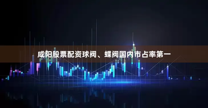 咸阳股票配资球阀、蝶阀国内市占率第一