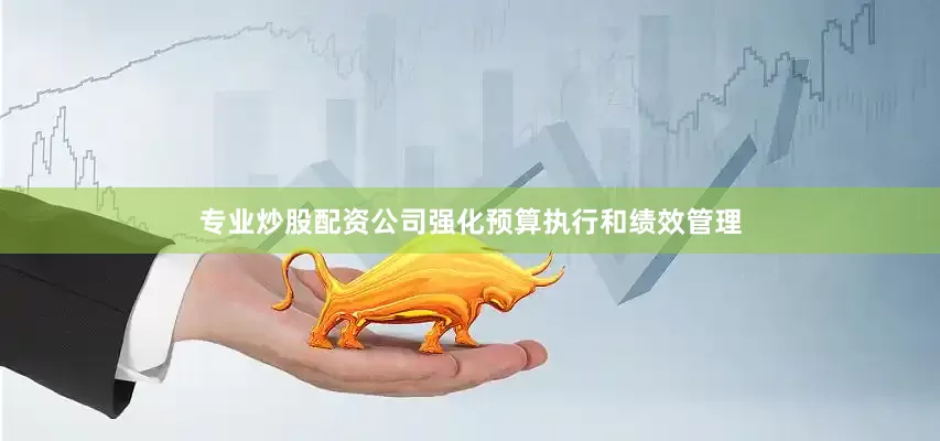 专业炒股配资公司强化预算执行和绩效管理