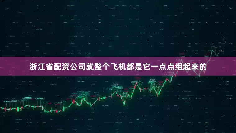 浙江省配资公司就整个飞机都是它一点点组起来的