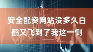安全配资网站没多久白鹤又飞到了我这一侧